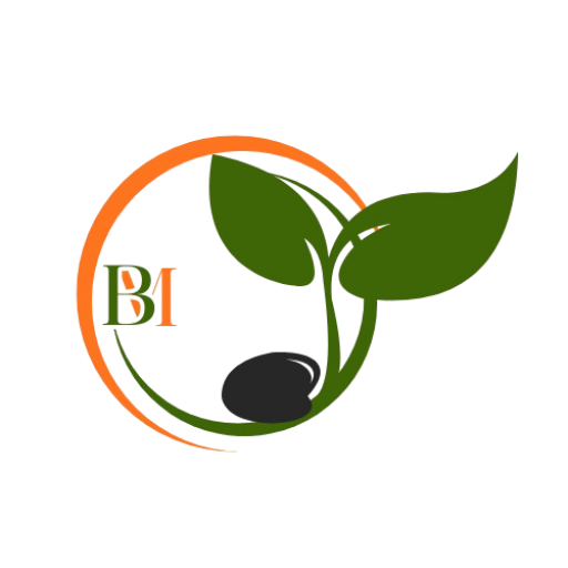 BSF Mixed Ventures Emblem
