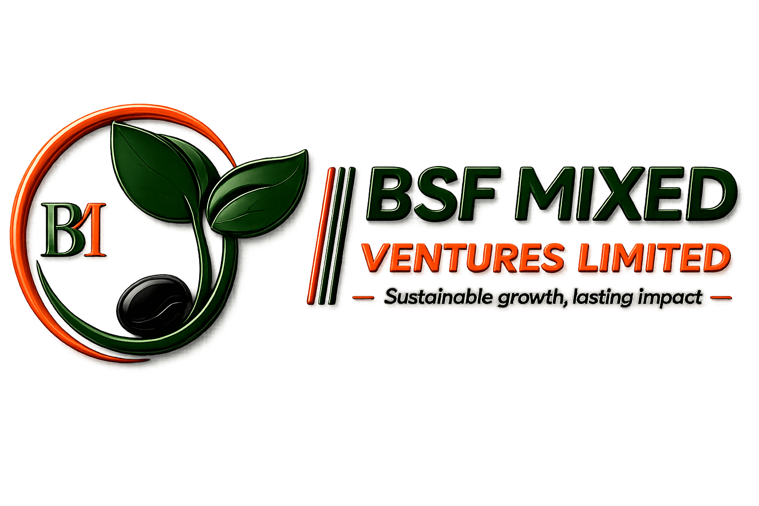 bsf logo 4